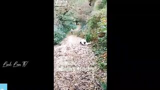 Tik Tok scenes