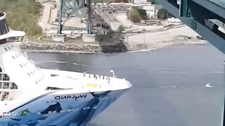 crazy liner