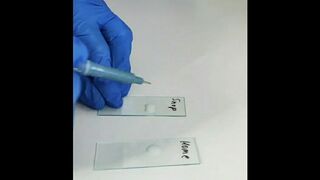 Homemade Milk and Store Bought under a Microscope
