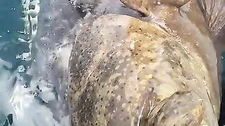 Thats a big fish