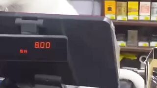 Первый рабочий день...