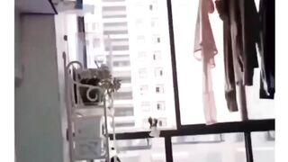 Parah ini Burungnya Bisa Copet Uang Dan Membawah Pulang Untuk Di Tabung