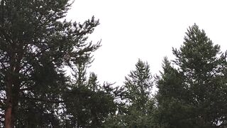 Летний дождь на севере