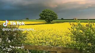 IbraWrites best tiktok video#trending #illu #tiktok #verysad #bestfrie..._6.