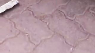 Very Funny video