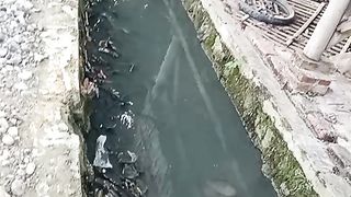 River 3