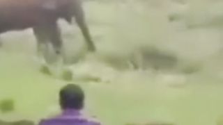 Horrific attack Shorts video