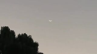 #MOON