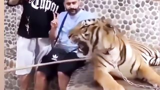 Funny video14