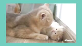 Mother is love to baby.????????