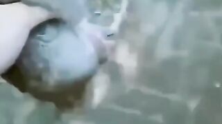 funny mouse 2