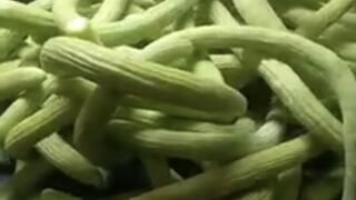Visit to a farm house (subscribe please)
