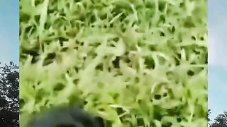 funny memes to make you laugh out loud????????