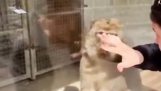 laughter is the best medicine 8