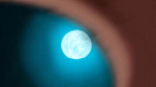 Naruto Uzumaki Hadir! Dubbing Indonesia