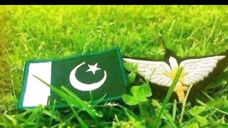 ملی نغمہ بہت ہی خوبصورت اور پیارا