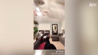 Compilation Des Moments Drôles #1
