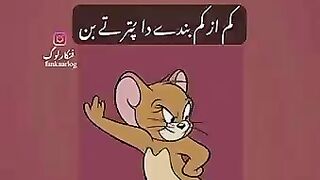 Jokes 5