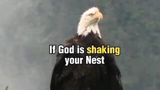 God is a best planners fens pots short video #Maha