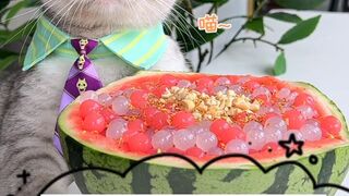 Cat Make Watermelon Juice.