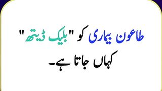 Most beautiful urdu Quotes 4