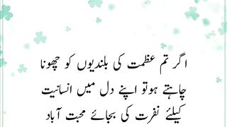 Most beautiful urdu Quotes 5
