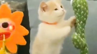 Feel Good Cute Cats Compilation????????????