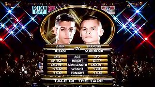 Ufc fight