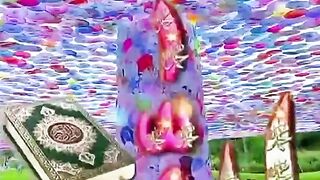 5258102669516146889_play.mp4_logo_GB.