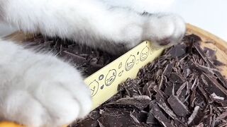 OMG!!.Cats make a dilicious chocolate WOW..