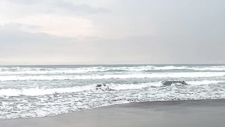 JALAN JALAN SAMA!!????