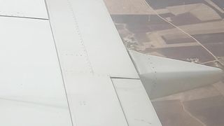 fly fly