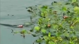 Mancing ikan di danau