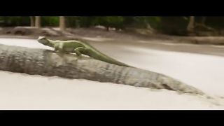 TRAILER FILM TERBARU MEG 2