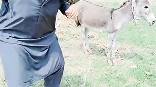 Find 'chu wala baba funny video' on TikTok - TikTok Search_2.