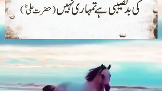 Quotes Imam Ali A.S