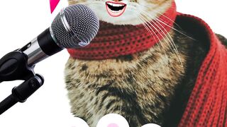 Kucing cute aiya susanti