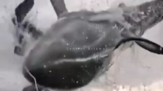 allah ki qudrat ka nazara |hindi urdu |Lens of Bilawal