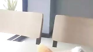 Lucunya call lagi jajan