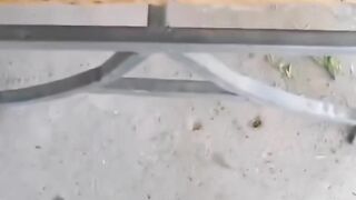 Tiktok funny 11