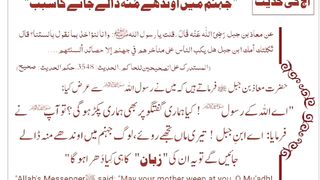 میری بھی ہو اِک نگاہِ کرم، اے شفیع الواریٰﷺ، خاتم الانبیاءﷺ 3