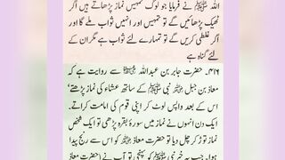 میری بھی ہو اِک نگاہِ کرم، اے شفیع الواریٰﷺ، خاتم الانبیاءﷺ 4