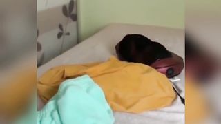 Funny dogs completion