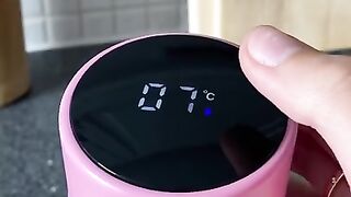Temperature bottle