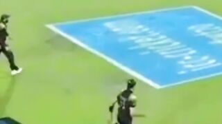 Cricket 41