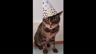 Funny TikToks that make my Monday betterTRY NOT TO LAUGH ???? Best Funny Videos Compilation
