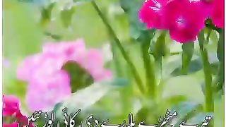 Urdu Best shari my Life in my voice