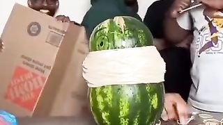 Watermelon dumb ????