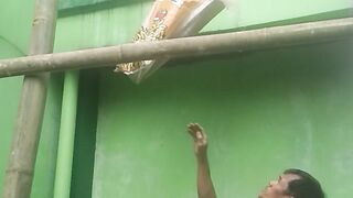 Menarik Bata ke Atas pakai Cara Manual