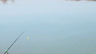 FISHING  MORE FISH 2